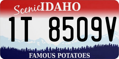 ID license plate 1T8509V