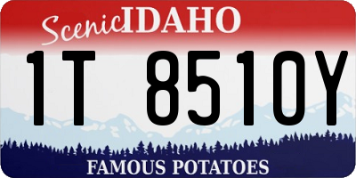ID license plate 1T8510Y