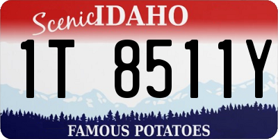 ID license plate 1T8511Y
