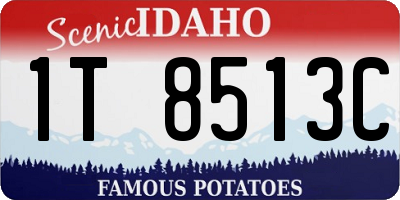 ID license plate 1T8513C