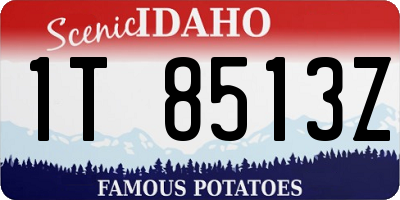 ID license plate 1T8513Z