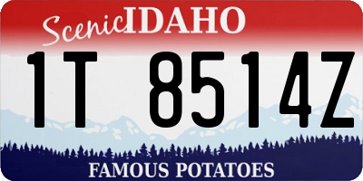 ID license plate 1T8514Z
