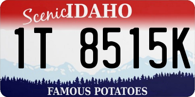 ID license plate 1T8515K