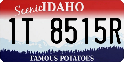 ID license plate 1T8515R