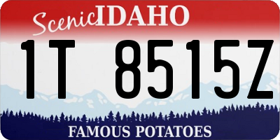 ID license plate 1T8515Z