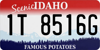 ID license plate 1T8516G