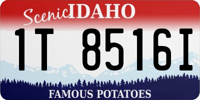 ID license plate 1T8516I