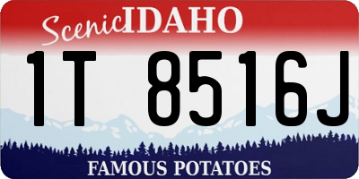 ID license plate 1T8516J