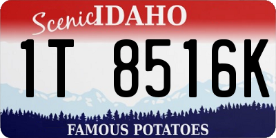 ID license plate 1T8516K