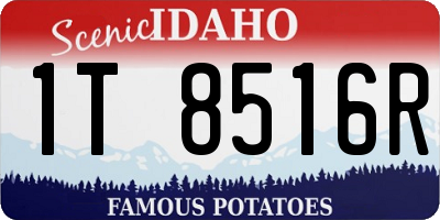 ID license plate 1T8516R