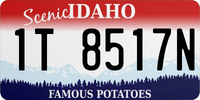 ID license plate 1T8517N