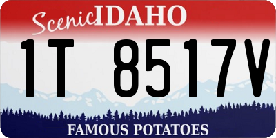 ID license plate 1T8517V