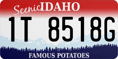 ID license plate 1T8518G