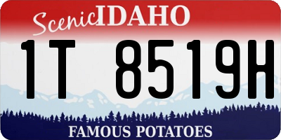 ID license plate 1T8519H