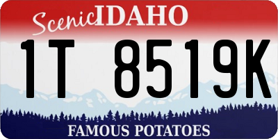 ID license plate 1T8519K