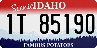 ID license plate 1T8519O