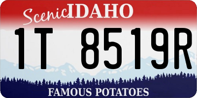 ID license plate 1T8519R