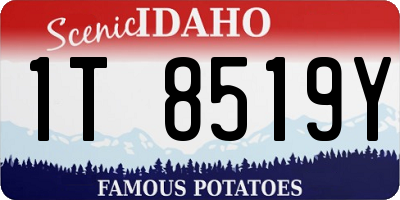 ID license plate 1T8519Y