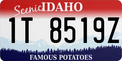 ID license plate 1T8519Z