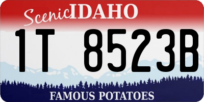 ID license plate 1T8523B