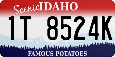ID license plate 1T8524K