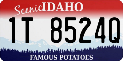 ID license plate 1T8524Q