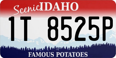 ID license plate 1T8525P