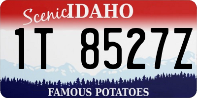 ID license plate 1T8527Z