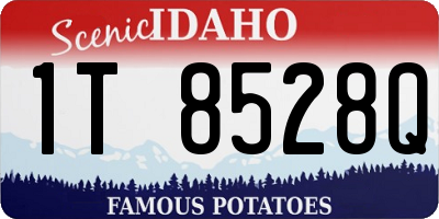 ID license plate 1T8528Q