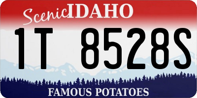 ID license plate 1T8528S