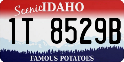 ID license plate 1T8529B