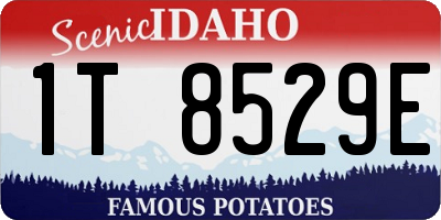 ID license plate 1T8529E