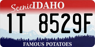 ID license plate 1T8529F