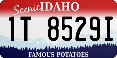 ID license plate 1T8529I