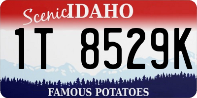 ID license plate 1T8529K