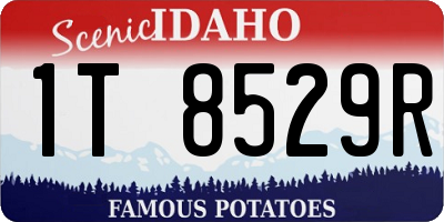 ID license plate 1T8529R