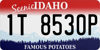 ID license plate 1T8530P