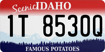 ID license plate 1T8530Q