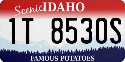 ID license plate 1T8530S