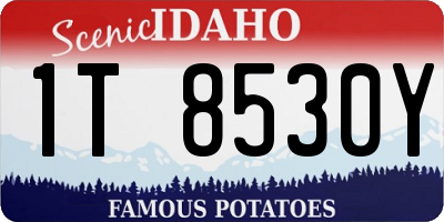 ID license plate 1T8530Y
