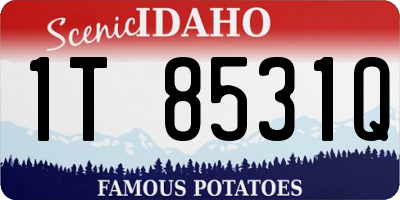 ID license plate 1T8531Q