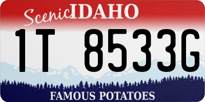 ID license plate 1T8533G