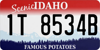 ID license plate 1T8534B