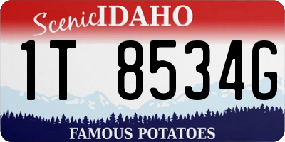 ID license plate 1T8534G