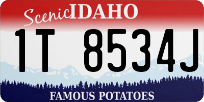 ID license plate 1T8534J