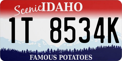 ID license plate 1T8534K