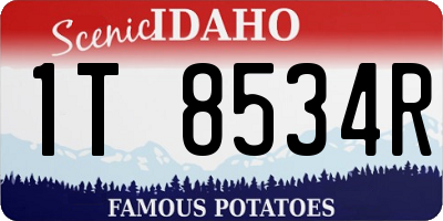ID license plate 1T8534R