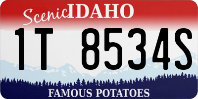 ID license plate 1T8534S