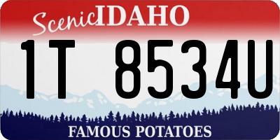 ID license plate 1T8534U