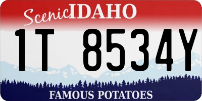 ID license plate 1T8534Y